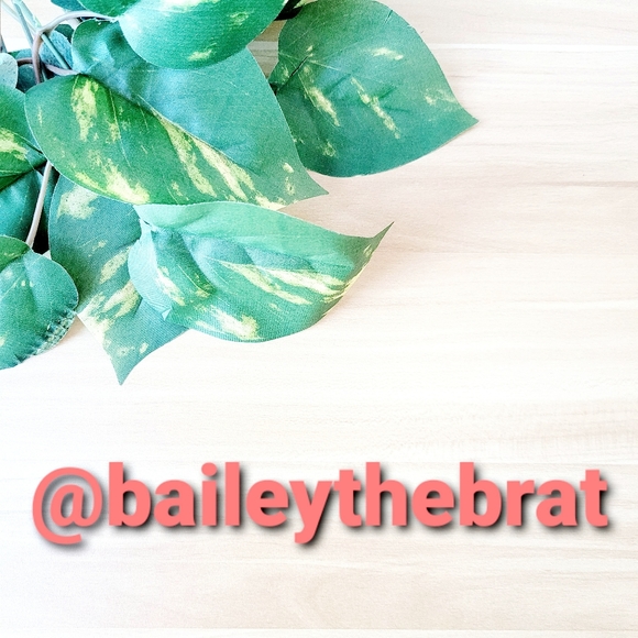 American Eagle Crop top embrodered - Picture 10 of 10